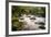 River Plym Flowing Fast Through Dewerstone Wood, Shaugh Prior, Dartmoor Np Devon, UK, October-Ross Hoddinott-Framed Photographic Print