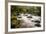 River Plym Flowing Fast Through Dewerstone Wood, Shaugh Prior, Dartmoor Np Devon, UK, October-Ross Hoddinott-Framed Photographic Print