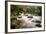 River Plym Flowing Fast Through Dewerstone Wood, Shaugh Prior, Dartmoor Np Devon, UK, October-Ross Hoddinott-Framed Photographic Print