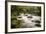 River Plym Flowing Fast Through Dewerstone Wood, Shaugh Prior, Dartmoor Np Devon, UK, October-Ross Hoddinott-Framed Photographic Print