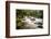 River Plym Flowing Fast Through Dewerstone Wood, Shaugh Prior, Dartmoor Np Devon, UK, October-Ross Hoddinott-Framed Photographic Print