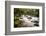 River Plym Flowing Fast Through Dewerstone Wood, Shaugh Prior, Dartmoor Np Devon, UK, October-Ross Hoddinott-Framed Photographic Print