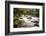 River Plym Flowing Fast Through Dewerstone Wood, Shaugh Prior, Dartmoor Np Devon, UK, October-Ross Hoddinott-Framed Photographic Print