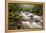 River Plym Flowing Through Dewerstone Wood, Dartmoor Np, Devon, England, UK, October-Ross Hoddinott-Framed Premier Image Canvas