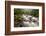 River Plym Flowing Through Dewerstone Wood, Dartmoor Np, Devon, England, UK, October-Ross Hoddinott-Framed Photographic Print