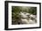 River Plym Flowing Through Dewerstone Wood, Dartmoor Np, Devon, England, UK, October-Ross Hoddinott-Framed Photographic Print