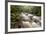 River Plym Flowing Through Dewerstone Wood, Dartmoor Np, Devon, England, UK, October-Ross Hoddinott-Framed Photographic Print