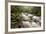 River Plym Flowing Through Dewerstone Wood, Dartmoor Np, Devon, England, UK, October-Ross Hoddinott-Framed Photographic Print