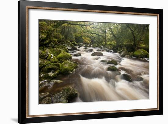 River Plym Flowing Through Dewerstone Wood, Dartmoor Np, Devon, England, UK, October-Ross Hoddinott-Framed Photographic Print