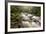 River Plym Flowing Through Dewerstone Wood, Dartmoor Np, Devon, England, UK, October-Ross Hoddinott-Framed Photographic Print