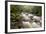 River Plym Flowing Through Dewerstone Wood, Dartmoor Np, Devon, England, UK, October-Ross Hoddinott-Framed Photographic Print