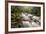 River Plym Flowing Through Dewerstone Wood, Dartmoor Np, Devon, England, UK, October-Ross Hoddinott-Framed Photographic Print