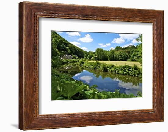 River Rance Banks, Dinan, Brittany, France, Europe-Guy Thouvenin-Framed Photographic Print