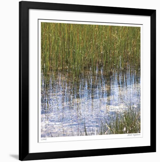 River Reeds I-Joy Doherty-Framed Giclee Print