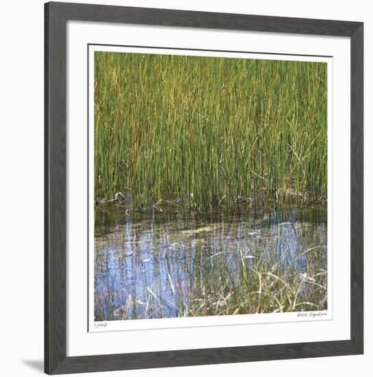 River Reeds II-Joy Doherty-Framed Giclee Print