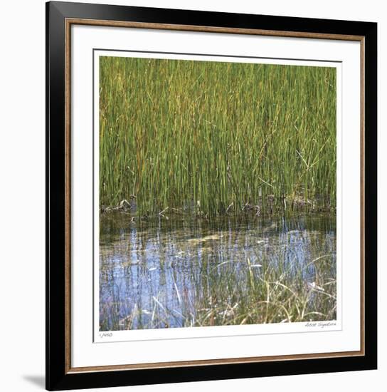 River Reeds II-Joy Doherty-Framed Giclee Print