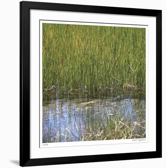 River Reeds II-Joy Doherty-Framed Giclee Print