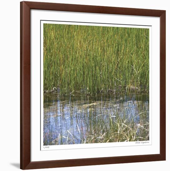 River Reeds II-Joy Doherty-Framed Giclee Print