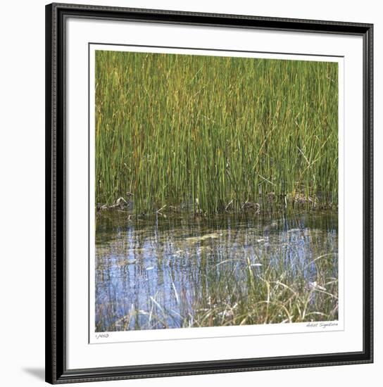 River Reeds II-Joy Doherty-Framed Giclee Print