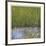 River Reeds II-Joy Doherty-Framed Giclee Print