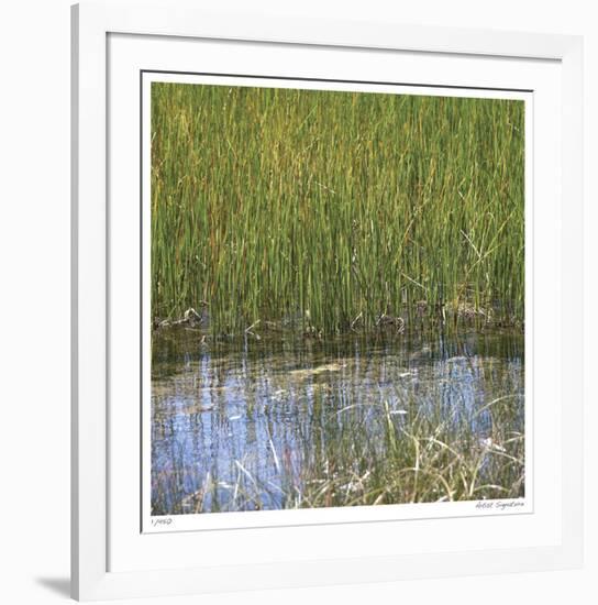 River Reeds II-Joy Doherty-Framed Giclee Print