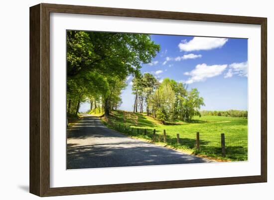 River Road-Alan Hausenflock-Framed Photographic Print