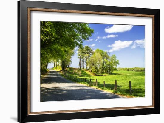 River Road-Alan Hausenflock-Framed Photographic Print