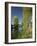 River Sarthe, Near Le Mans, Sarthe, Western Loire, Pays De La Loire, France-Michael Busselle-Framed Photographic Print