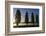 River Scenery, the Rhine, Trees, Nebulous Mood, Sunrise, Speyer, Rhineland-Palatinate, Germany-Ronald Wittek-Framed Photographic Print