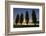 River Scenery, the Rhine, Trees, Nebulous Mood, Sunrise, Speyer, Rhineland-Palatinate, Germany-Ronald Wittek-Framed Photographic Print