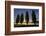 River Scenery, the Rhine, Trees, Nebulous Mood, Sunrise, Speyer, Rhineland-Palatinate, Germany-Ronald Wittek-Framed Photographic Print