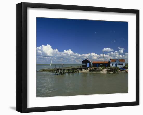 River Seudre, Le Tregarde, Charente Maritime, Poitou-Charentes, France, Europe-David Hughes-Framed Photographic Print