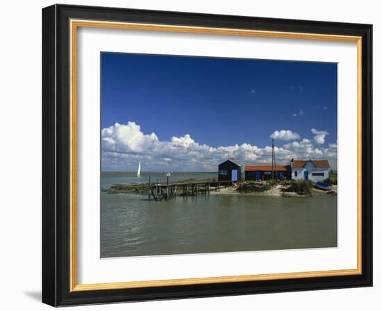 River Seudre, Le Tregarde, Charente Maritime, Poitou-Charentes, France, Europe-David Hughes-Framed Photographic Print