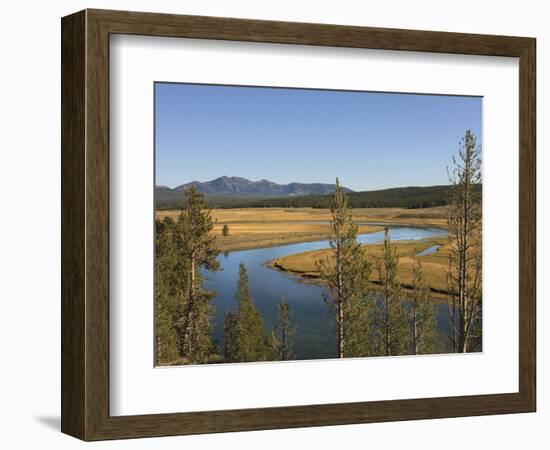 River Snaking Through the Meadows, Yellowstone National Park, Wyoming, USA-Tom Norring-Framed Photographic Print