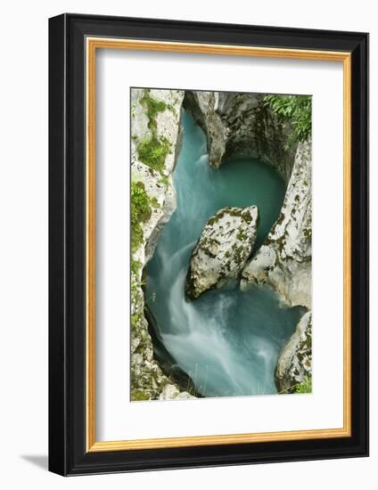 River Soca Flowing Through Velika Korita Showing Erosion, Triglav National Park, Slovenia, June-Zupanc-Framed Photographic Print