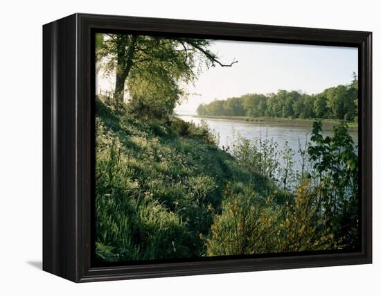 River Tay at Caputh Bridge, Tayside, Scotland, United Kingdom-Adam Woolfitt-Framed Premier Image Canvas