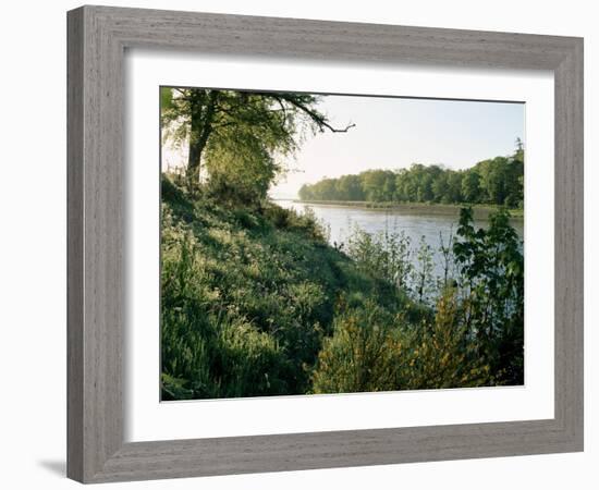 River Tay at Caputh Bridge, Tayside, Scotland, United Kingdom-Adam Woolfitt-Framed Photographic Print