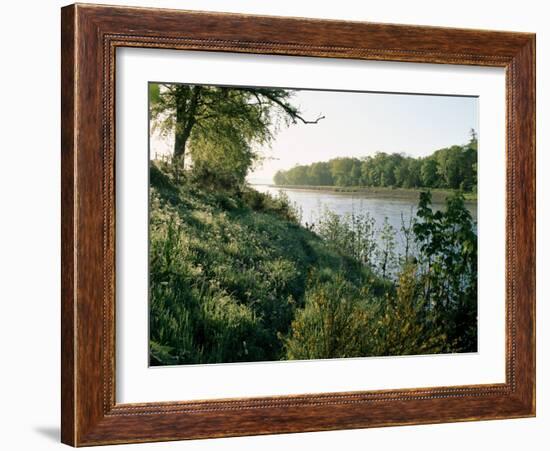 River Tay at Caputh Bridge, Tayside, Scotland, United Kingdom-Adam Woolfitt-Framed Photographic Print