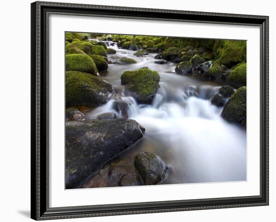 River Teign, Dartmoor National Park, Devon, England, United Kingdom, Europe-Jeremy Lightfoot-Framed Photographic Print