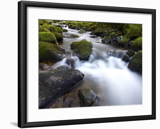 River Teign, Dartmoor National Park, Devon, England, United Kingdom, Europe-Jeremy Lightfoot-Framed Photographic Print