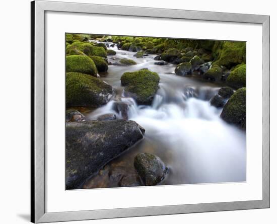 River Teign, Dartmoor National Park, Devon, England, United Kingdom, Europe-Jeremy Lightfoot-Framed Photographic Print