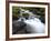 River Teign, Dartmoor National Park, Devon, England, United Kingdom, Europe-Jeremy Lightfoot-Framed Photographic Print