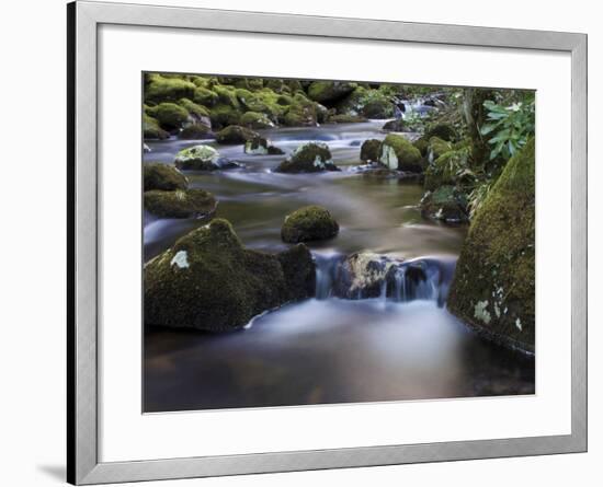 River Teign, Dartmoor National Park, Devon, England, United Kingdom, Europe-Jeremy Lightfoot-Framed Photographic Print