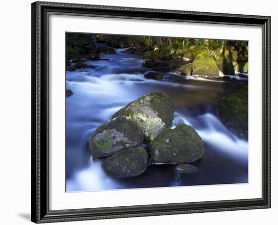 River Teign, Dartmoor National Park, Devon, England, United Kingdom, Europe-Jeremy Lightfoot-Framed Photographic Print