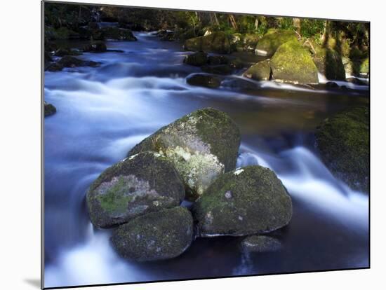 River Teign, Dartmoor National Park, Devon, England, United Kingdom, Europe-Jeremy Lightfoot-Mounted Photographic Print