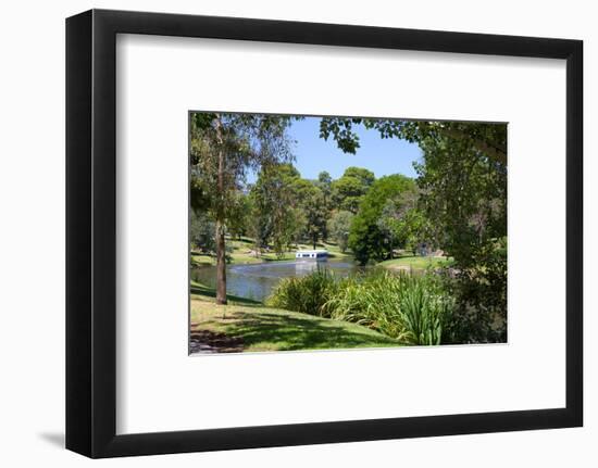 River Torrens and 'Popeye' Boat, Adelaide, South Australia, Oceania-Frank Fell-Framed Photographic Print