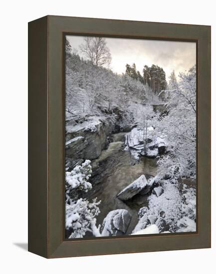 River Tromie in Winter Snow, Drumguish Near Kingussie, Highlands, Scotland, United Kingdom, Europe-Gary Cook-Framed Premier Image Canvas