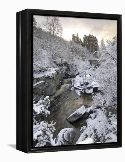 River Tromie in Winter Snow, Drumguish Near Kingussie, Highlands, Scotland, United Kingdom, Europe-Gary Cook-Framed Premier Image Canvas
