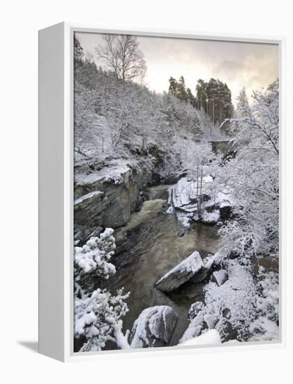 River Tromie in Winter Snow, Drumguish Near Kingussie, Highlands, Scotland, United Kingdom, Europe-Gary Cook-Framed Premier Image Canvas