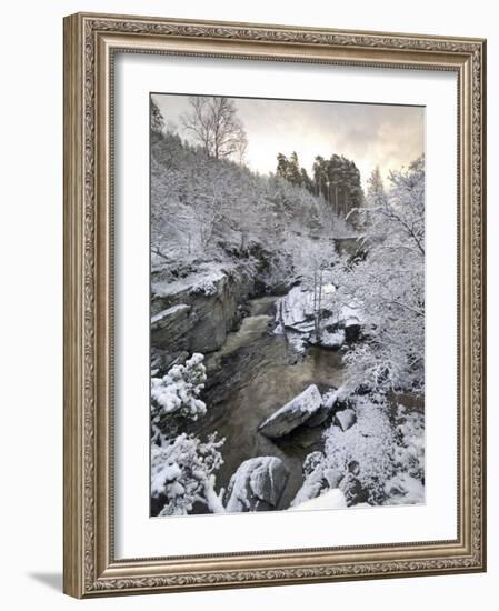 River Tromie in Winter Snow, Drumguish Near Kingussie, Highlands, Scotland, United Kingdom, Europe-Gary Cook-Framed Photographic Print